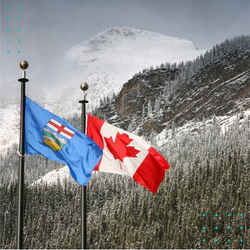 TEP case study — $3M Canadian business funding