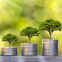 TEP client case study — $400M AUM family office launch